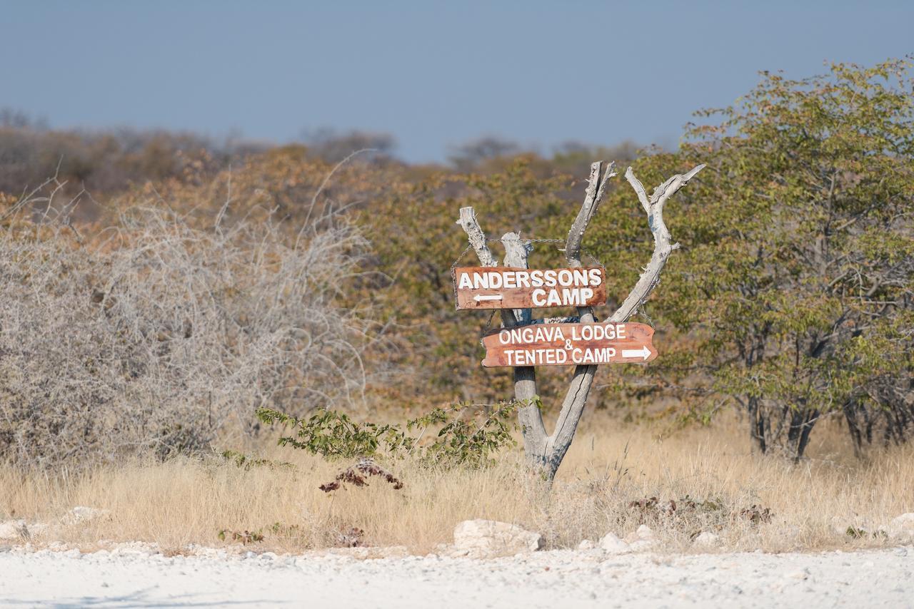 Ongava Tented Camp 오카우쿠에요 외부 사진